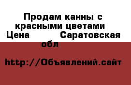 Продам канны с красными цветами › Цена ­ 100 - Саратовская обл.  »    